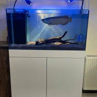 آکواریم ۲۰۰ لیتری فول امکانات