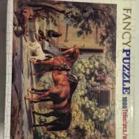 پازل ۱۰۰۰ تیکه مدل fancy