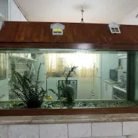آکواریوم