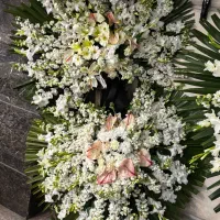 تاج گل دسته دوم|گل و گیاه طبیعی|تهران, امیریه|دیوار