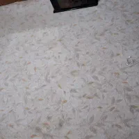 فرش ۱۲۰۰شانه یک عدد.پالازموکت رنگ کرم وطوسی