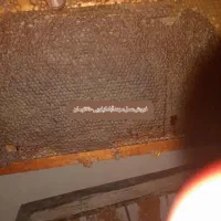 بالسهندآباد