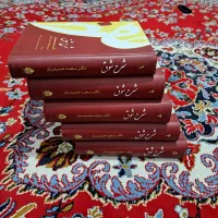 کتاب شرح شوق،دکتر سعید حمیدیان،بهترین شرح غزلیات