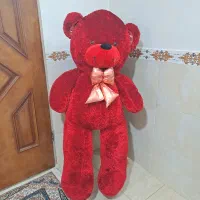 خرس ولنتاین