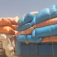 کاه گندم
