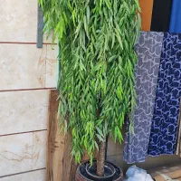 درختچه مصنوعی|گل مصنوعی|نسیمشهر, |دیوار