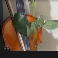 ویالون