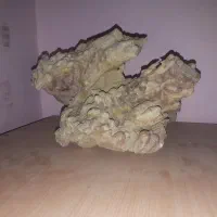 سنگ زیباومخصوص کلکسیونی|کلکسیون اشیاء عتیقه|کرمانشاه, |دیوار