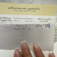 نژاد مالینویز|سگ|آمل, |دیوار