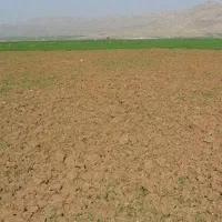 ۲تا۴ هکتار زمین کشاورزی