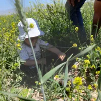 زمین کشاورزی