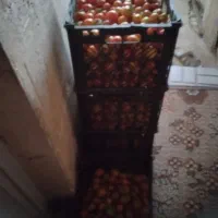 تماته