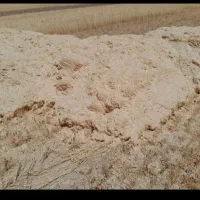 کاه گندم دیمی کردستان