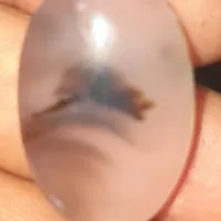 نگین شجره انگشتر