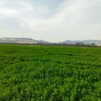 زمین سند دار بغل گلخانه ویلا شرایط اقساطی 1ساله|فروش زمین و ملک کلنگی|تبریز, |دیوار