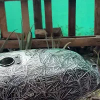 رنگ خودرو و موتور سیکلت