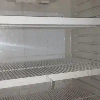 یخچال ایستاده سایز ۶۰|فروشگاه و مغازه|صادق آباد, |دیوار