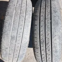 لاستیک کویرتایرفنرلول