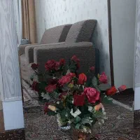 ۲ عدد اینه تمام قد  ۱۵۰ در ۸۰ و ۶۲ در ۱۵۵