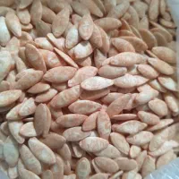 خیار تلخ ناداn2