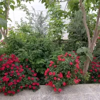 فروش منزل 2 خوابه در روستای اشکهران|فروش خانه و ویلا|ورزنه, |دیوار