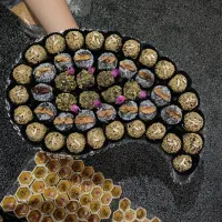 انجام تمام خدمات برای مراسم