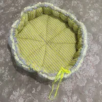 تشک استخری