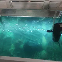 آگواریوم شرکتی