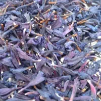 گل گاو زبان وگل محمدی