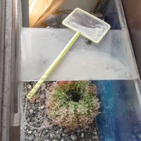 آکواریوم و لوازم با کمد ام دی اف|ماهی|پرند, فاز ۵|دیوار