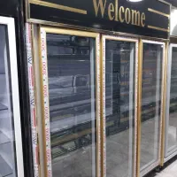 یخچال ایستاده ۳درب و۶درب/سیلور