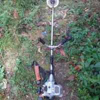 علف زنی زمین