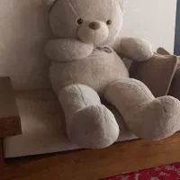 خرس شاسخین