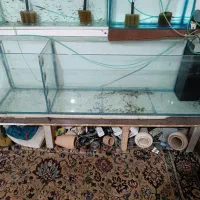 اکواریوم وماهی و پمپ و....