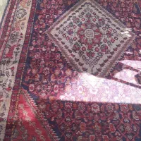 قالی دست بافت|فرش|قم, علی آباد سعدگان|دیوار