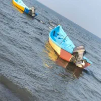 نیروی کار در مجموعه ساحلی ،نگهبان +قایقران+کار