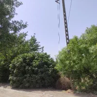 باغچه  اسلامشهر|فروش زمین و ملک کلنگی|اسلام‌شهر, کاشانک|دیوار