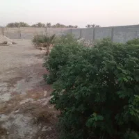 ۲۲ دو هکتار زمین کشاورزی برای اجاره هست