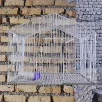 قفس پرنده|لوازم جانبی حیوانات|تربتحیدریه, شهرک ولیعصر|دیوار