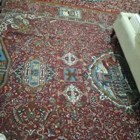 قالی|فرش|جیرفت, |دیوار