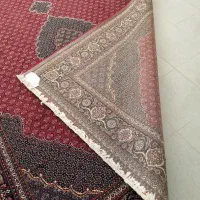 دو تخته فرش نگین مشهد طرح ریزماهی|فرش|کرمانشاه, |دیوار