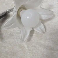 لوستر|لوستر و چراغ آویز|رشت, کوی مهر|دیوار