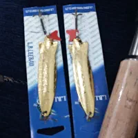 لنسرماهیگیری|ماهیگیری|اهواز, پردیس|دیوار