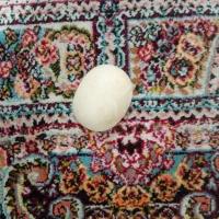 سنگ آسیاب اصل اصل