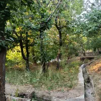 باغچه ۲۳۳ متری در منطقه خوش آب‌وهوای خورارنگه|فروش زمین و ملک کلنگی|آسارا, |دیوار