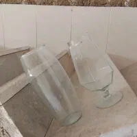 تعدادی شیشه ماهی به فروش می‌رسد