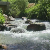 امور خدماتی و اداری