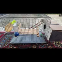 قفس پرنده|لوازم جانبی حیوانات|جویبار, |دیوار