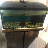 اکواریوم کامل سالم