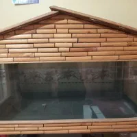 آکواریوم سالم